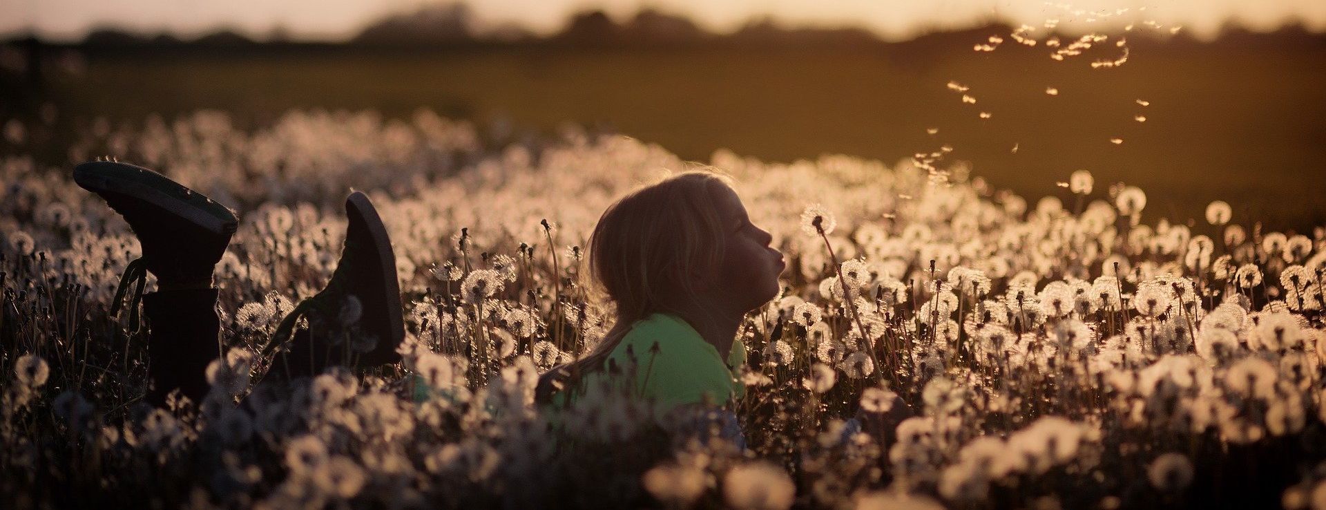 Kind in einem Pusteblumen Feld bei Sonnenuntergang